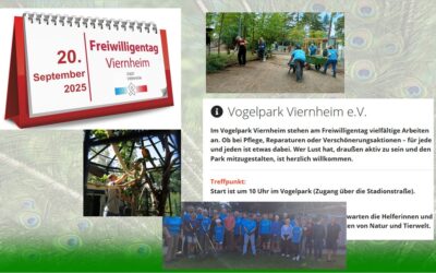 Freiwilligentag 20.9.2025