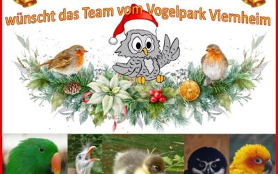 Frohe Weihnachten