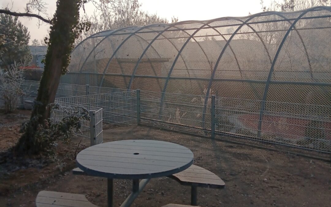 Bank-Sponsoren und Baumpaten gesucht