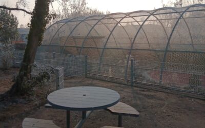 Bank-Sponsoren und Baumpaten gesucht