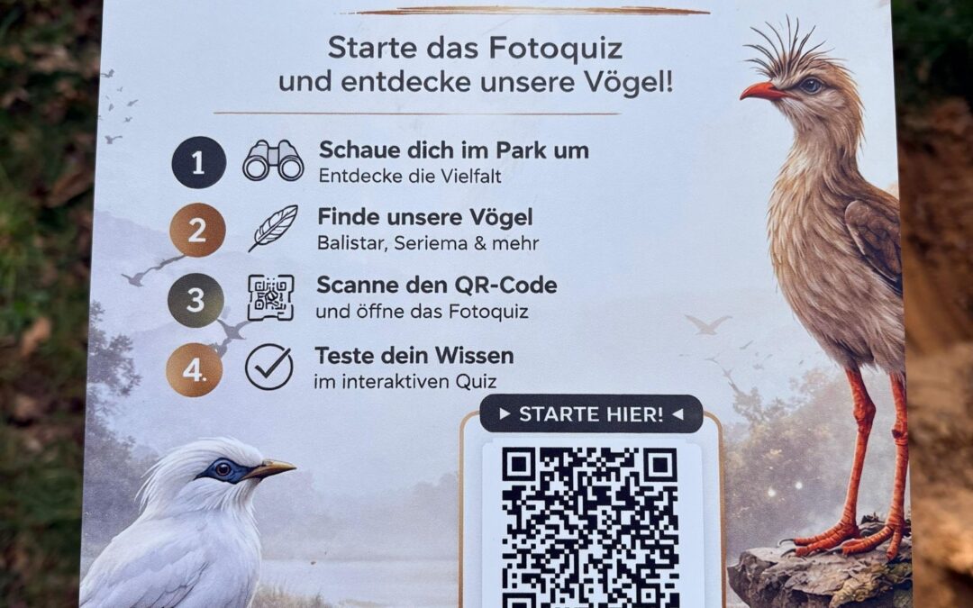 Neues Fotoquiz im Vogelpark