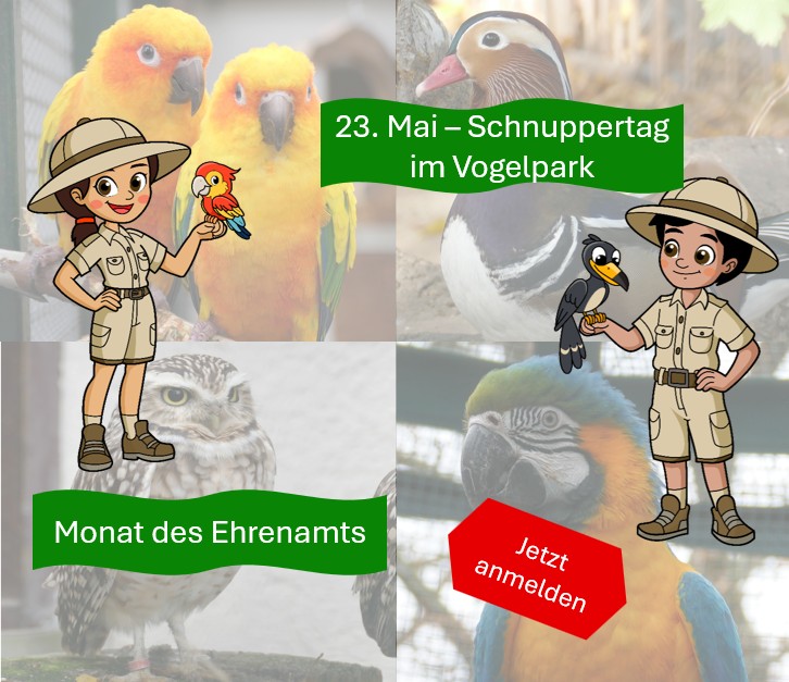 Schnuppertag im Vogelpark