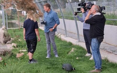 Vogelpark Viernheim in der SWR Sendung Treffpunkt vom 21.6.2026